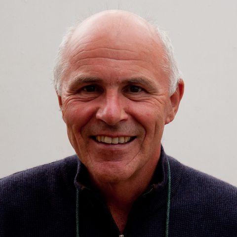 hannes-werthner.jpg