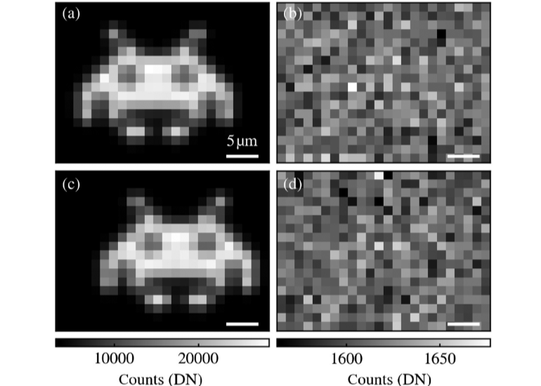“Fisher Information Flow in Artificial Neural Networks”